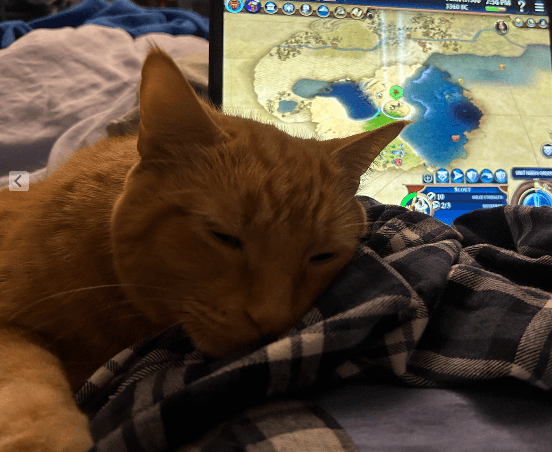 An orange cat snuggled in front of a screen showing Civ 6