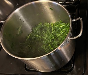 A large metal pot full of cooking greens