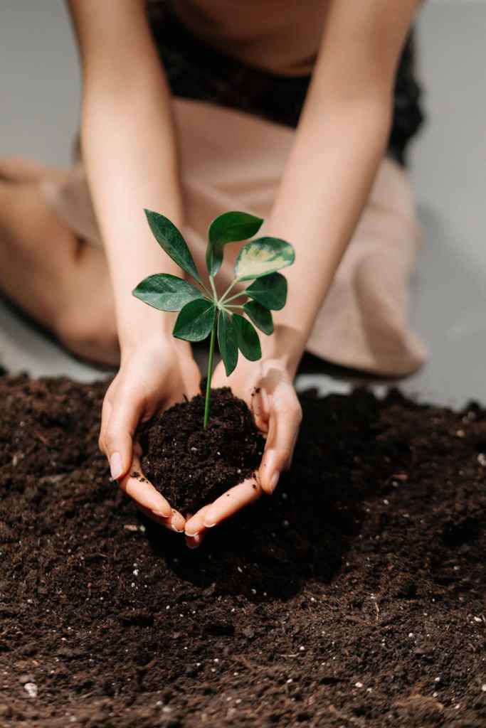 From Surviving to Flourishing: New Hub Pages
