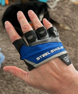 A support half-hand glove being worn with a dog in the background